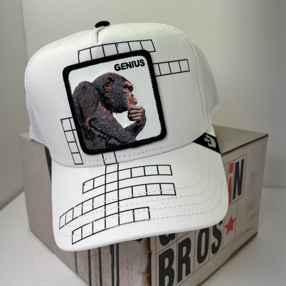 Goorin Bros Genius hat - Picture 6 of 7